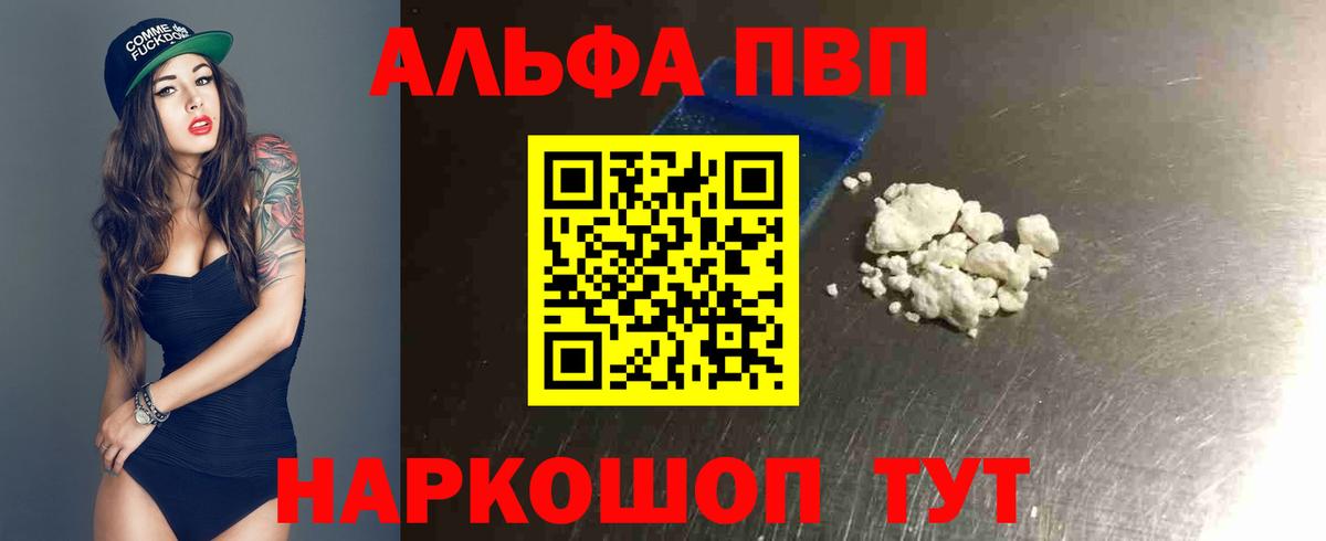 Alfa_PVP СК Аргун