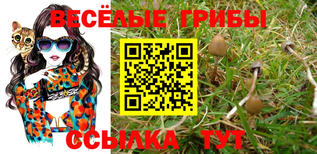 Галлюциногенные грибы Magic Shrooms  Вход с VPN  Аргун 