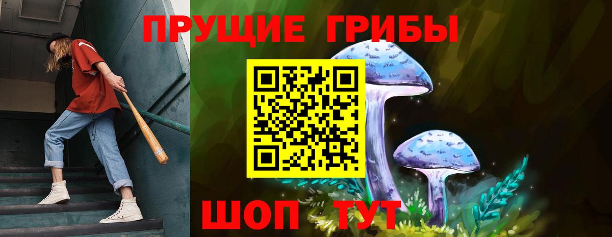 Галлюциногенные грибы Cubensis Аргун